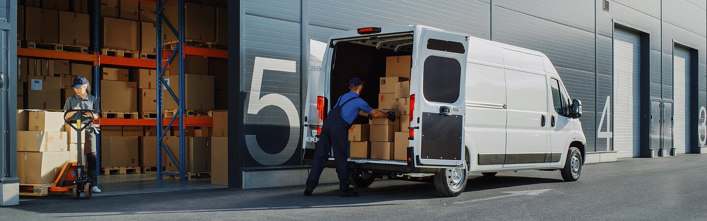 payment and delivery Mogulgus